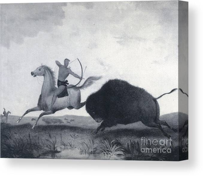 History Canvas Print featuring the photograph Native American Indian Buffalo Hunting by Photo Researchers
