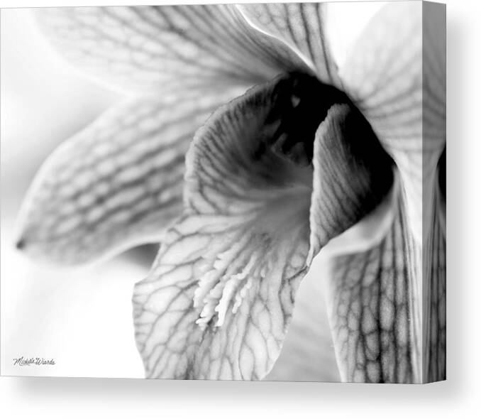 Orchid Canvas Print featuring the photograph Orchid Study 2 by Michelle Constantine