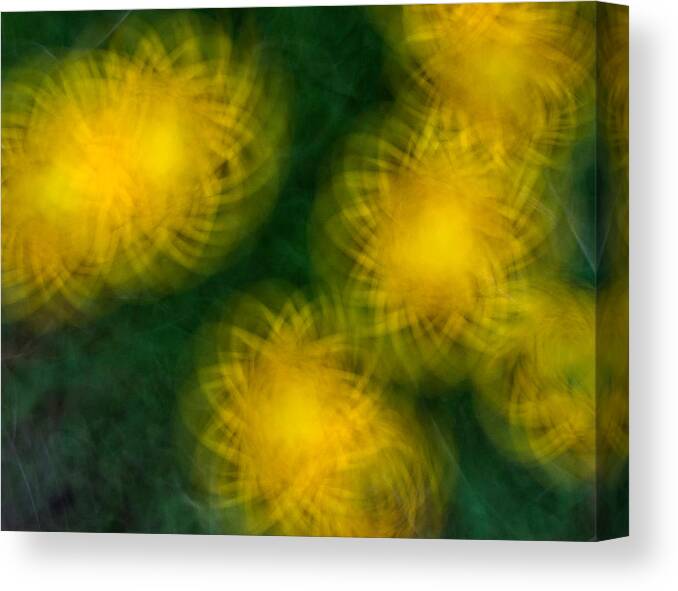 Abstract Canvas Print featuring the photograph Pirouetting Dandelions by Neil Shapiro