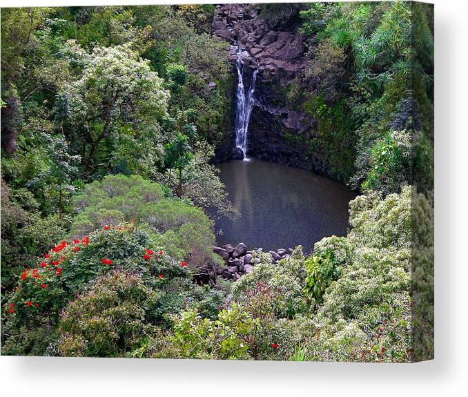 Maui Canvas Print featuring the photograph Puohokamoa Falls by Lynn Bauer