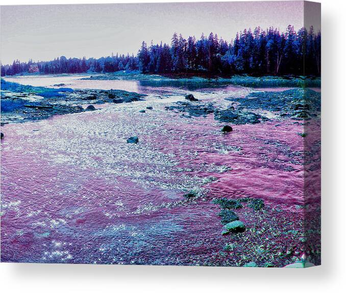 Green Canvas Print featuring the photograph Purple Haze by Kelly Reber