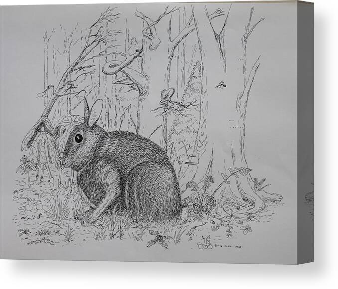 Nature Canvas Print featuring the drawing Rabbit In Woodland by Daniel Reed