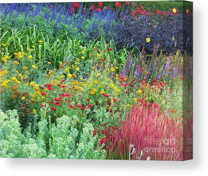 Garden Canvas Print featuring the photograph Rainbow Garden by Michele Penner