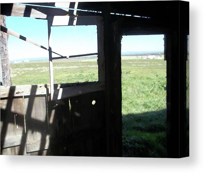 Rural Canvas Print featuring the photograph Rectangles of light by Anne Cameron Cutri