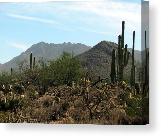 Landscape Canvas Print featuring the photograph Rugged Arizona Terrain by Judy Wanamaker