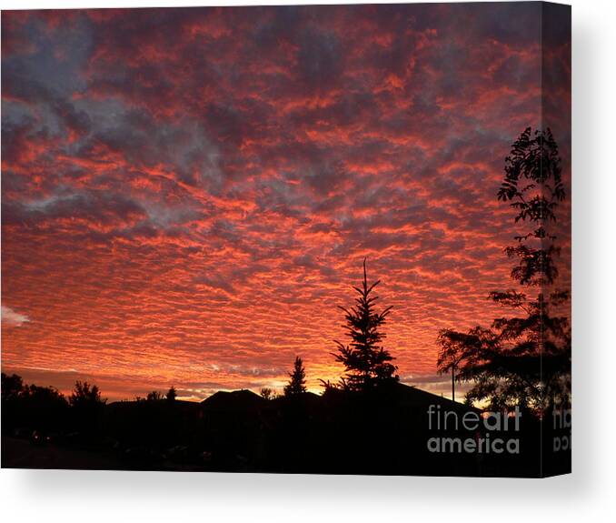 Red Sky Canvas Print featuring the photograph Sailor's Delight by Laurel Best