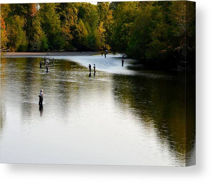 Salmon Canvas Print featuring the photograph Salmon Hunting Skok Style by Mark Bowmer