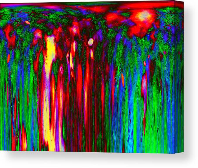 Abstract Canvas Print featuring the photograph ShadowTree20-Earth Drops by Linnea Tober