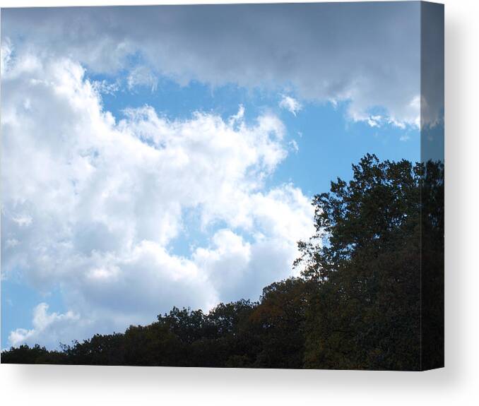 Blue Canvas Print featuring the photograph Sky by Ellen Lewis