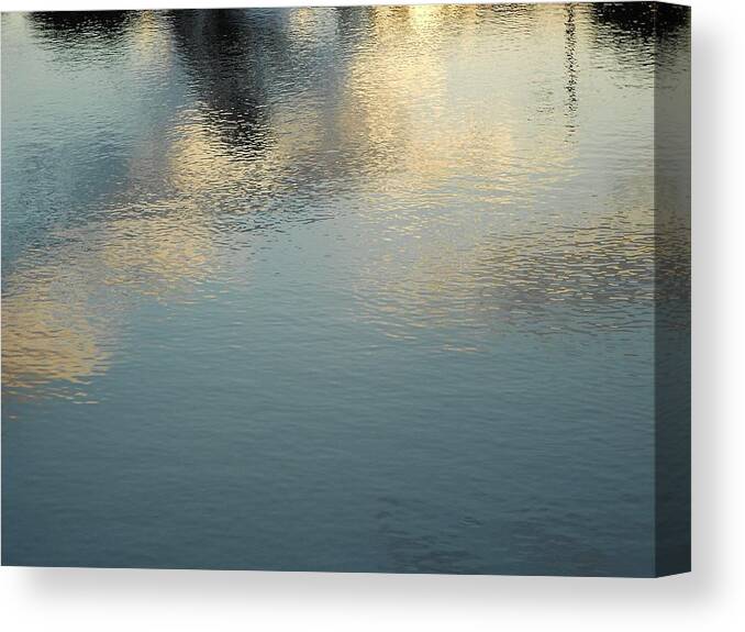Nature Canvas Print featuring the photograph Sparkle by Sheila Silverstein