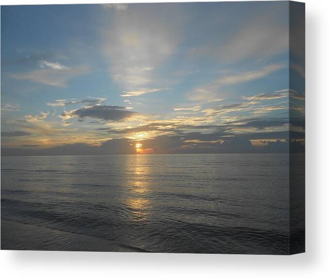 Nature Canvas Print featuring the photograph Splendor by Sheila Silverstein