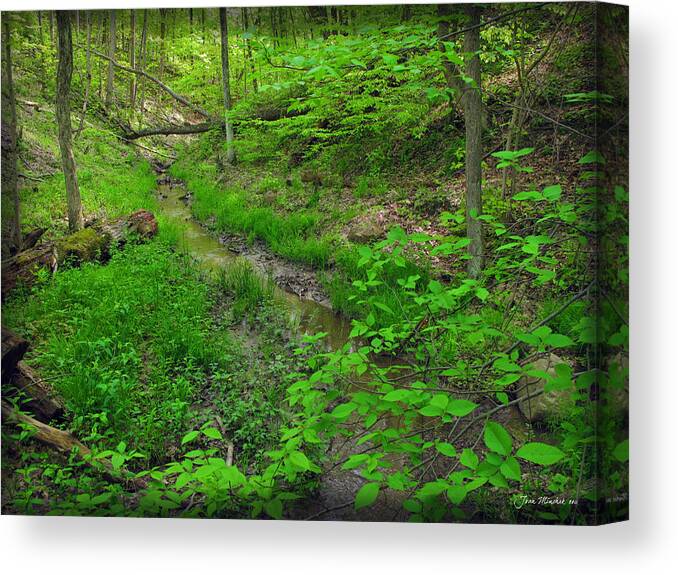 Spring Canvas Print featuring the photograph Spring at Cleveland Metro Park by Joan Minchak