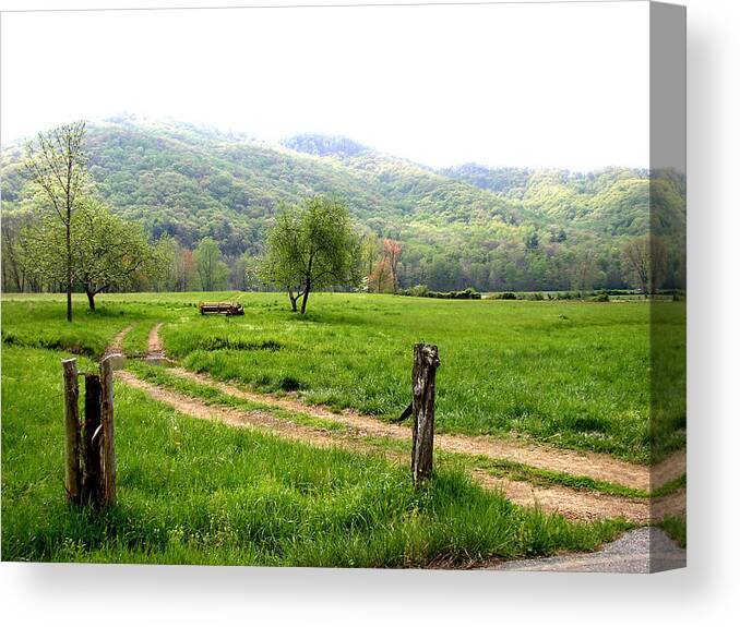 Spring Canvas Print featuring the photograph Springs Alive by Paul Mashburn