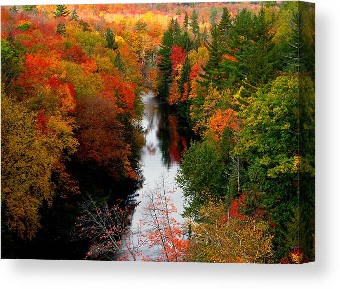 Fall Canvas Print featuring the photograph Stolen Fall by Mike Hainstock