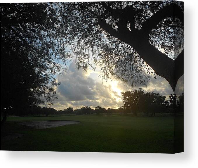 Nature Canvas Print featuring the photograph Sunrise Canopy by Sheila Silverstein