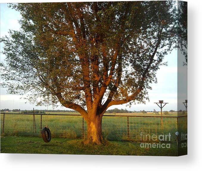 Tree Canvas Print featuring the photograph Sunset Tire Swing by Sheri Simmons