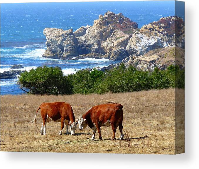 Surf And Turf Canvas Print featuring the photograph Surf and Turf Two by Jeff Lowe