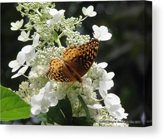Butterfly Canvas Print featuring the photograph The Beauty Of Nature by Kim Galluzzo
