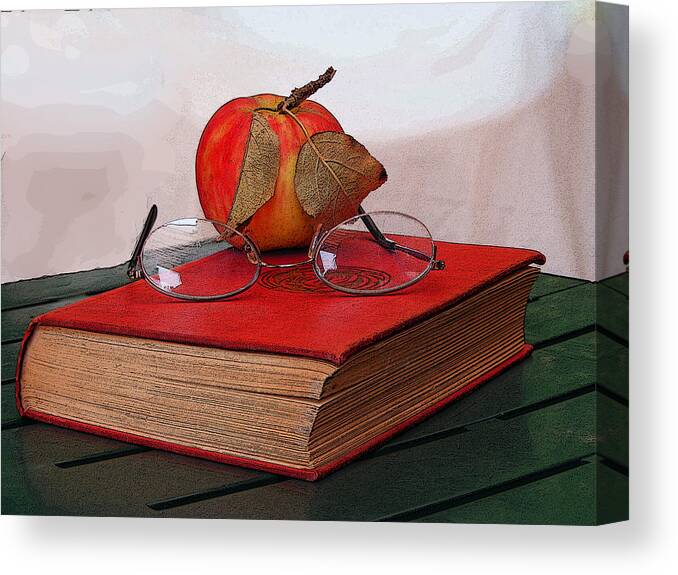 Book Canvas Print featuring the photograph The Novel by Margie Avellino