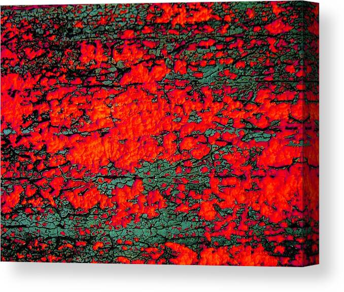 Abstract Painting Canvas Print featuring the photograph The Red Shed by Amy Sorrell