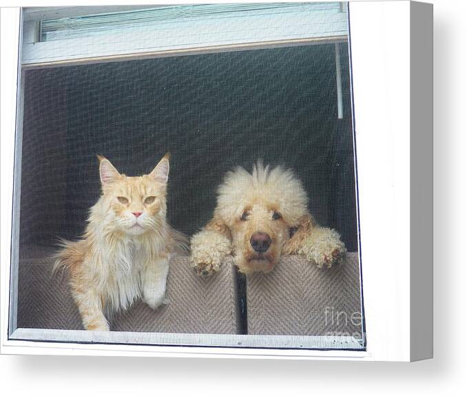 Dog And Cat Canvas Print featuring the photograph They Wait for Me... by Judy Via-Wolff