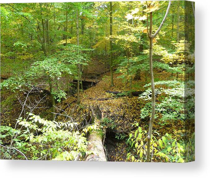 Fall Nymphs Canvas Print featuring the photograph Trail to Squires Castle by Joel Deutsch