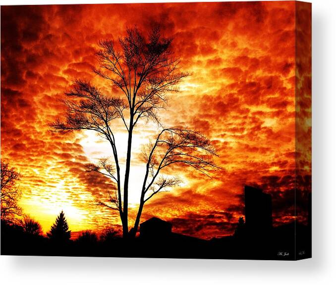 Tree Canvas Print featuring the photograph Tree Light by Ms Judi