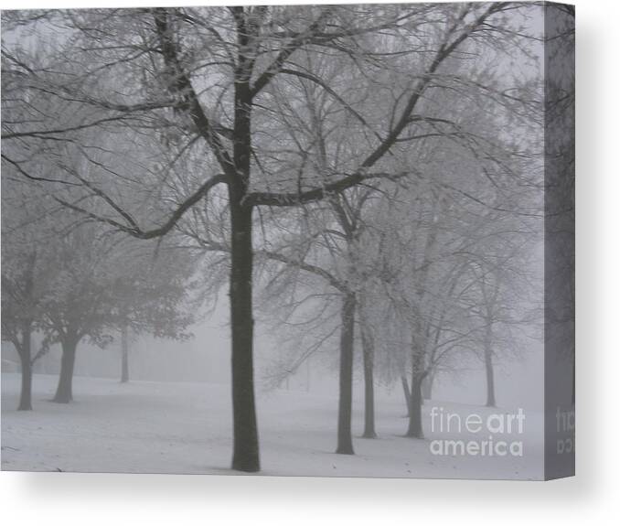 Trees Canvas Print featuring the photograph Trees in the Winter by Yumi Johnson