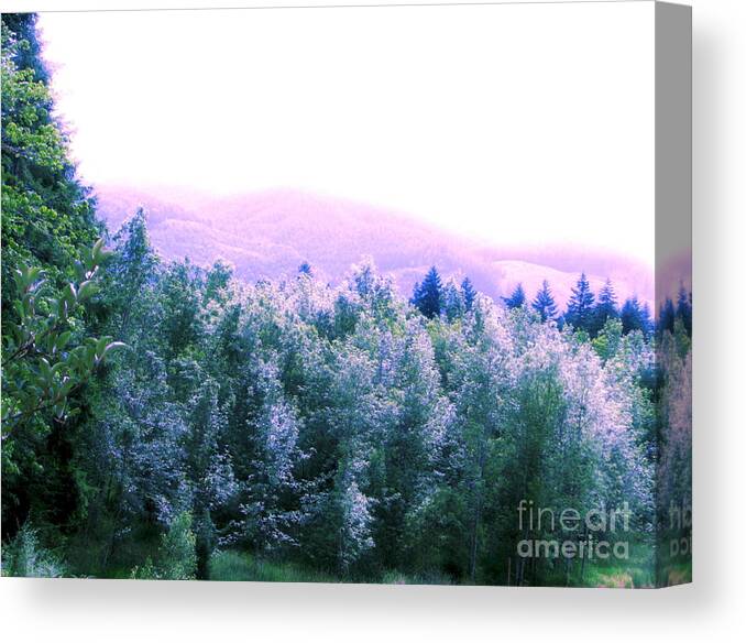Landscape Canvas Print featuring the photograph View From Paradise Farm by Rory Siegel