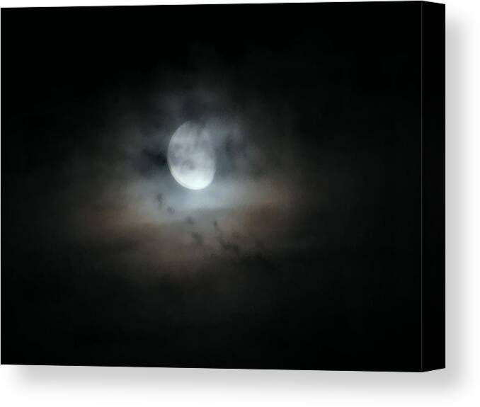 Moon Canvas Print featuring the photograph Walking With The Moon by Rory Siegel