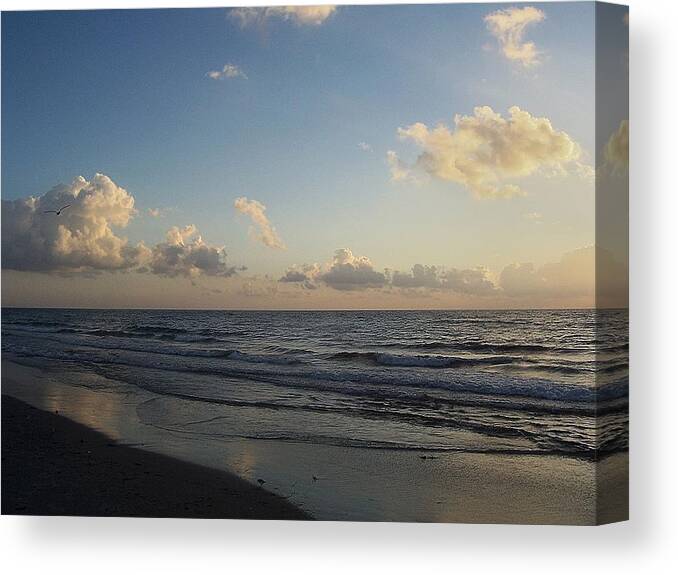 Sunrise Canvas Print featuring the photograph Warm Embrace by Sheila Silverstein