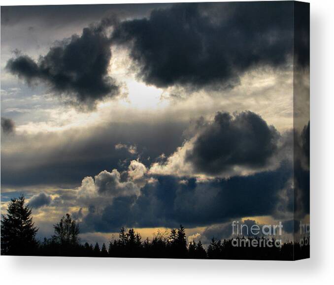 Winter Canvas Print featuring the photograph Winter Approaching by Rory Siegel