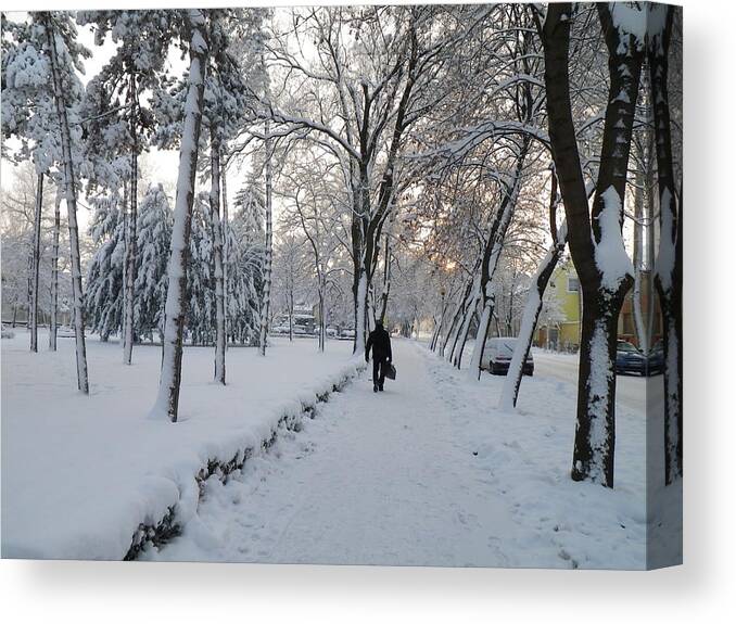 Snow Canvas Print featuring the photograph Winter in Mako by Anna Ruzsan