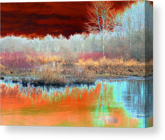 Landscape Canvas Print featuring the photograph Winter Marsh by Marcia Lee Jones