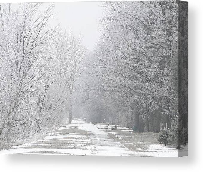 Winter Canvas Print featuring the mixed media Winter walkway by Bruce Ritchie
