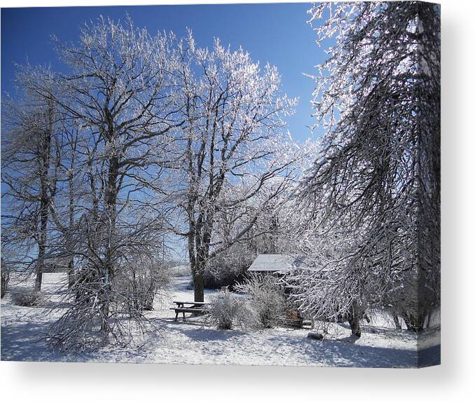 Snow Canvas Print featuring the photograph Winter Wonderland by Diannah Lynch