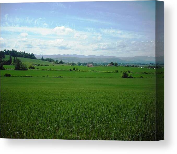 Yamhill Canvas Print featuring the photograph Yamhill Countryside by Kelly Manning