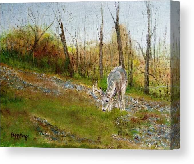 Nature Canvas Print featuring the painting Young Buck by Peggy King