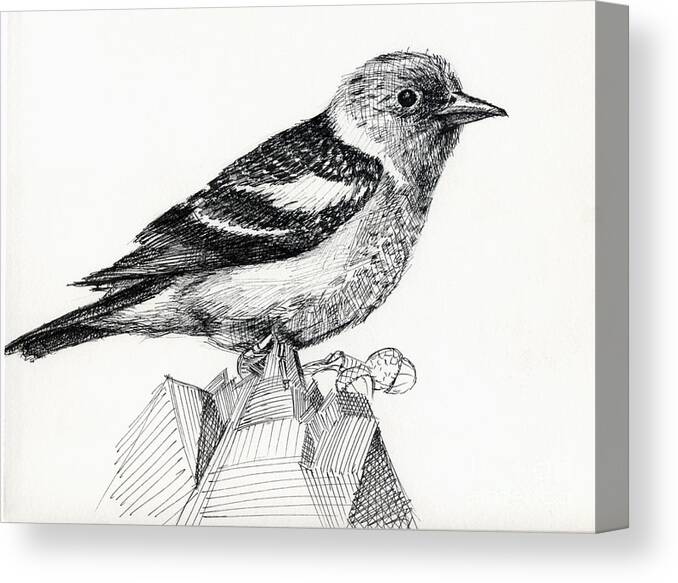Bird Canvas Print featuring the digital art Bird #1 by Iglika Milcheva-Godfrey