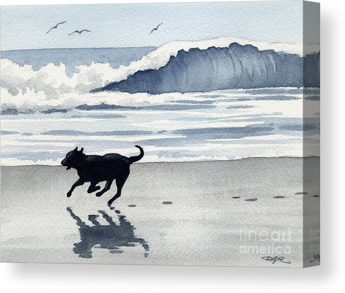 Black Lab Canvas Print featuring the painting Black Lab At The Beach #1 by David Rogers