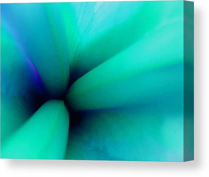 Teal Canvas Print featuring the photograph Dreamstate in Teal #1 by Carolyn Jacob