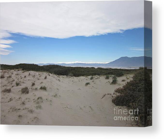 Spring Canvas Print featuring the photograph Dune in Roquetas de Mar #2 by Chani Demuijlder
