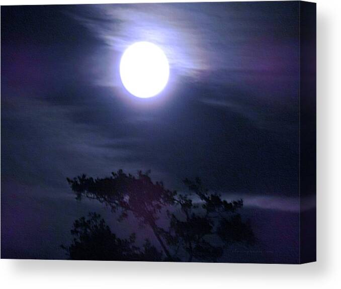 Night Canvas Print featuring the digital art Full Moon Falling #1 by Vincent Green