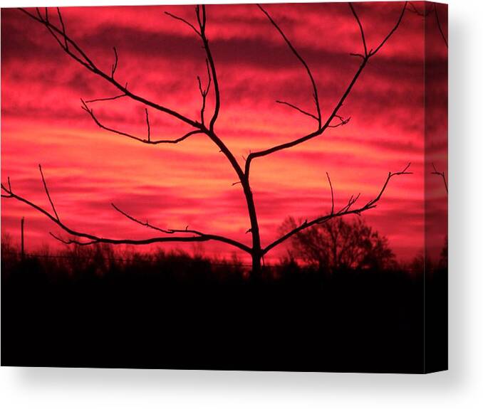 Sunset Canvas Print featuring the photograph Good Evening #1 by Evelyn Patrick