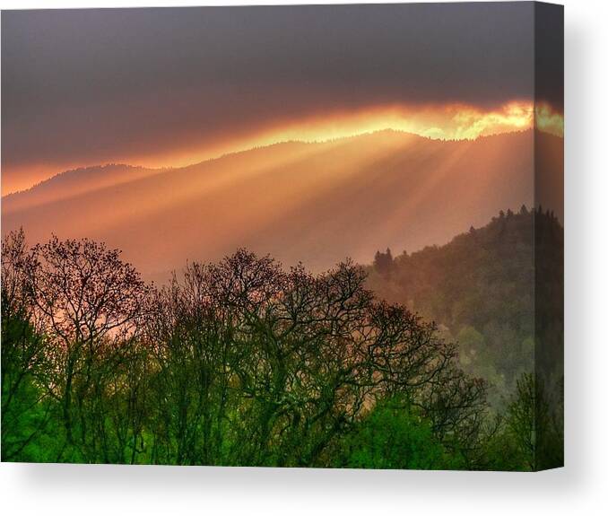 Nature Canvas Print featuring the photograph Morning Light #1 by Doug McPherson
