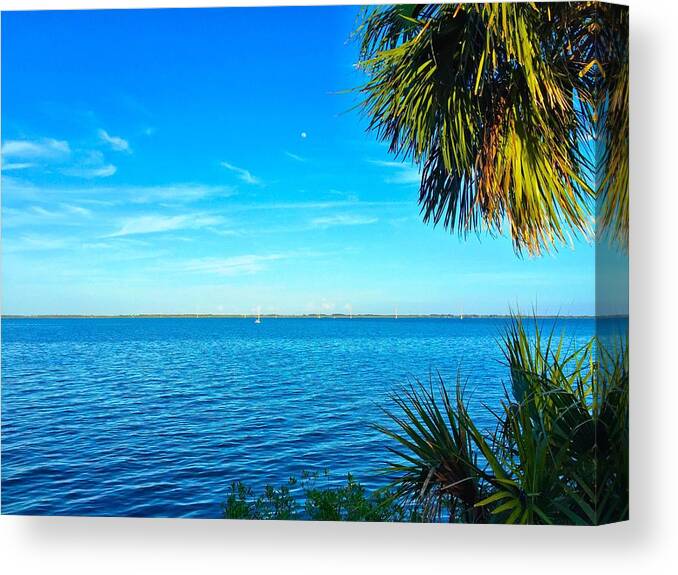 Blue Skies Canvas Print featuring the photograph Private Paradise #1 by Carlos Avila