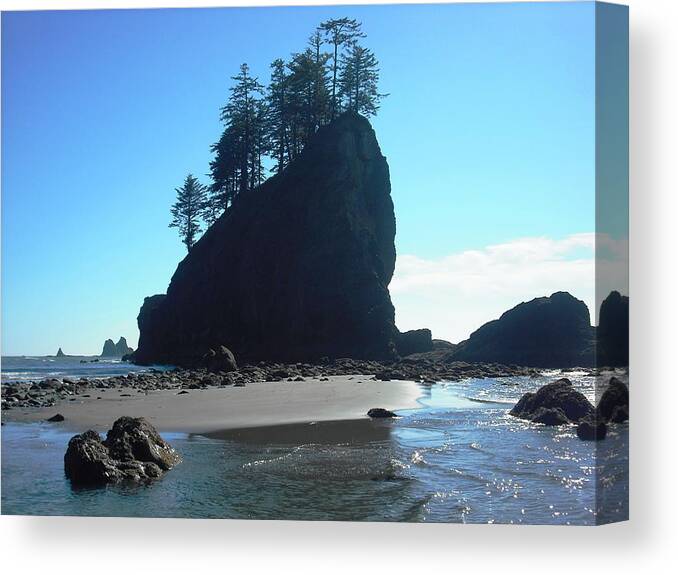 Twilight Canvas Print featuring the photograph Seastacks at Second Beach La Push by Kelly Manning