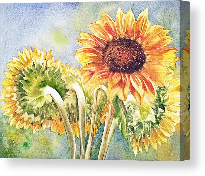 Suns Canvas Print featuring the painting Suns All Around #1 by Diane Fujimoto