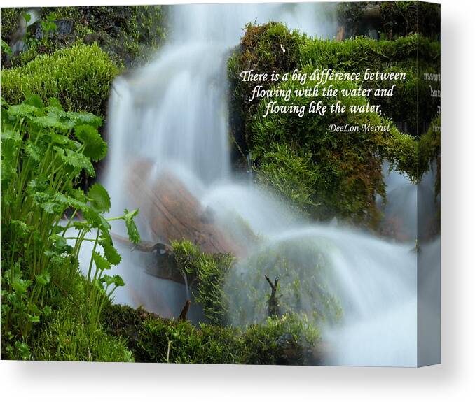 Water Canvas Print featuring the photograph There Is A Big Difference... #1 by DeeLon Merritt