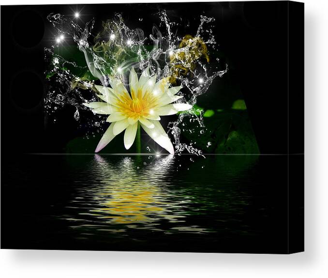 Flowers Canvas Print featuring the photograph Water Lily #1 by Gordon Engebretson